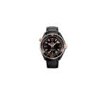 Omega Seamaster Planet Ocean 600M