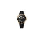 Omega Seamaster Diver 300M