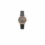 Vacheron Constantin Egerie Moon phase
