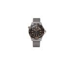 Omega Seamaster Diver 300M
