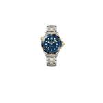 Omega Seamaster Diver 300M