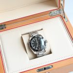 Omega Planet Ocean 6000M - Image 4