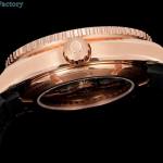 Omega Seamaster Planet Ocean 600M - Image 5