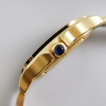 Santos Large de Cartier watch(Customized original watch strap) - Image 5