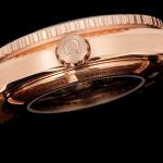 Omega Seamaster Planet Ocean 600M - Image 6
