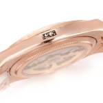 Rolex Land-Dweller 36 - Image 6