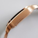 Santos Large de Cartier watch(Customized original watch strap) - Image 6