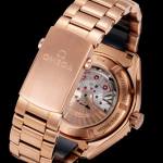 Omega Seamaster Planet Ocean 600M - Image 7