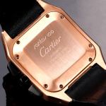 Cartier Santos 100 - Image 8