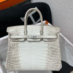Birkin Himalayan Crocodile 25 Diamond Palladium Hardware