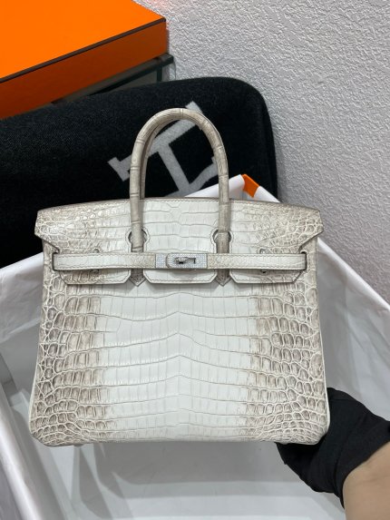Birkin Himalayan Crocodile 25 Diamond Palladium Hardware