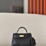 Kelly Mini Alligator Nior (89) Gold Hardware