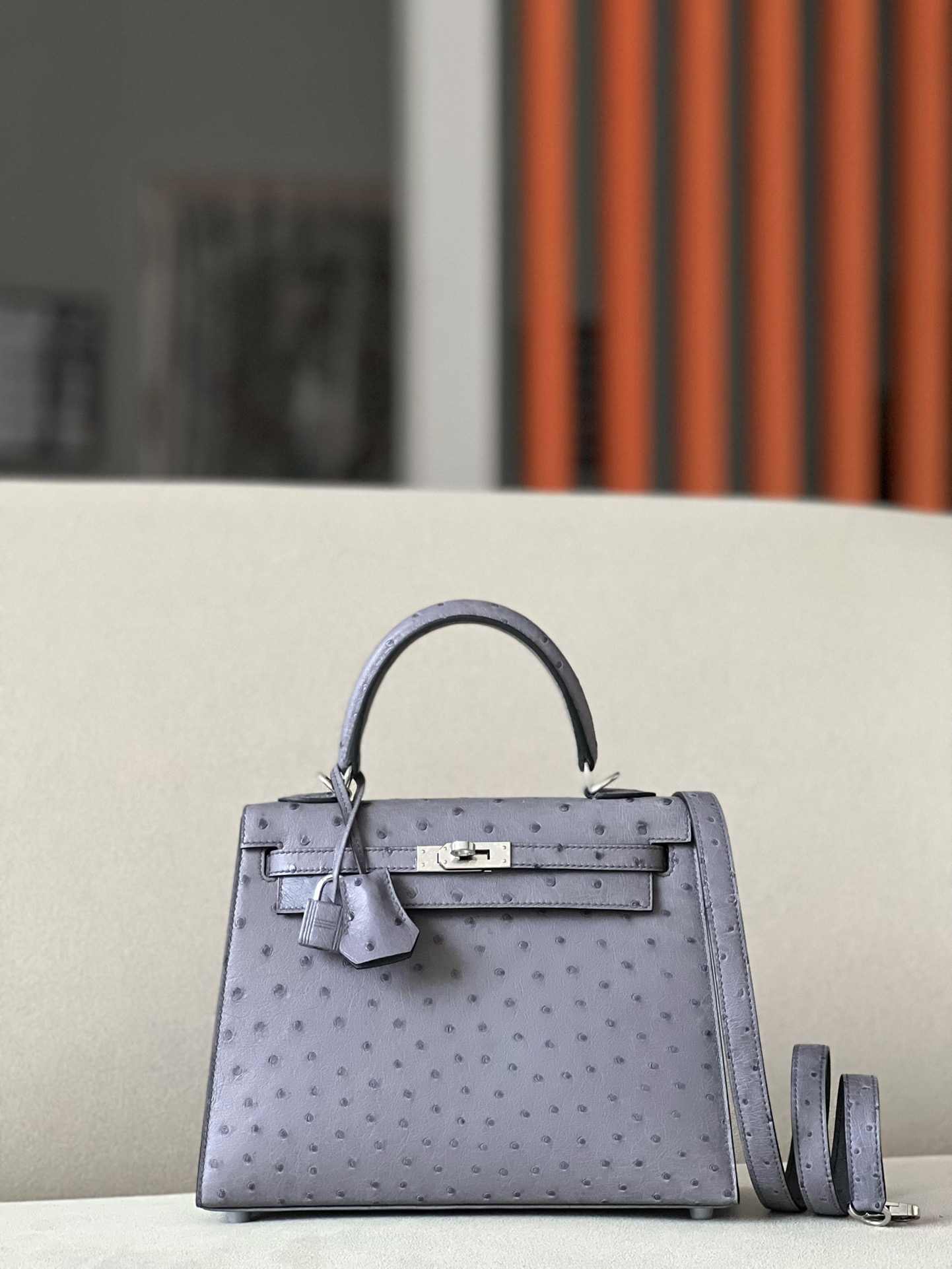 HSC-670D73136002 Kelly 25 Ostrich Gris Agate (82) Palladium Hardware - Image 1