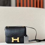 Constance 19 Matte Alligator Nior  (89) Gold Hardware