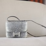 Constance 19 Lizard Ombre(1B) Palladium Hardware