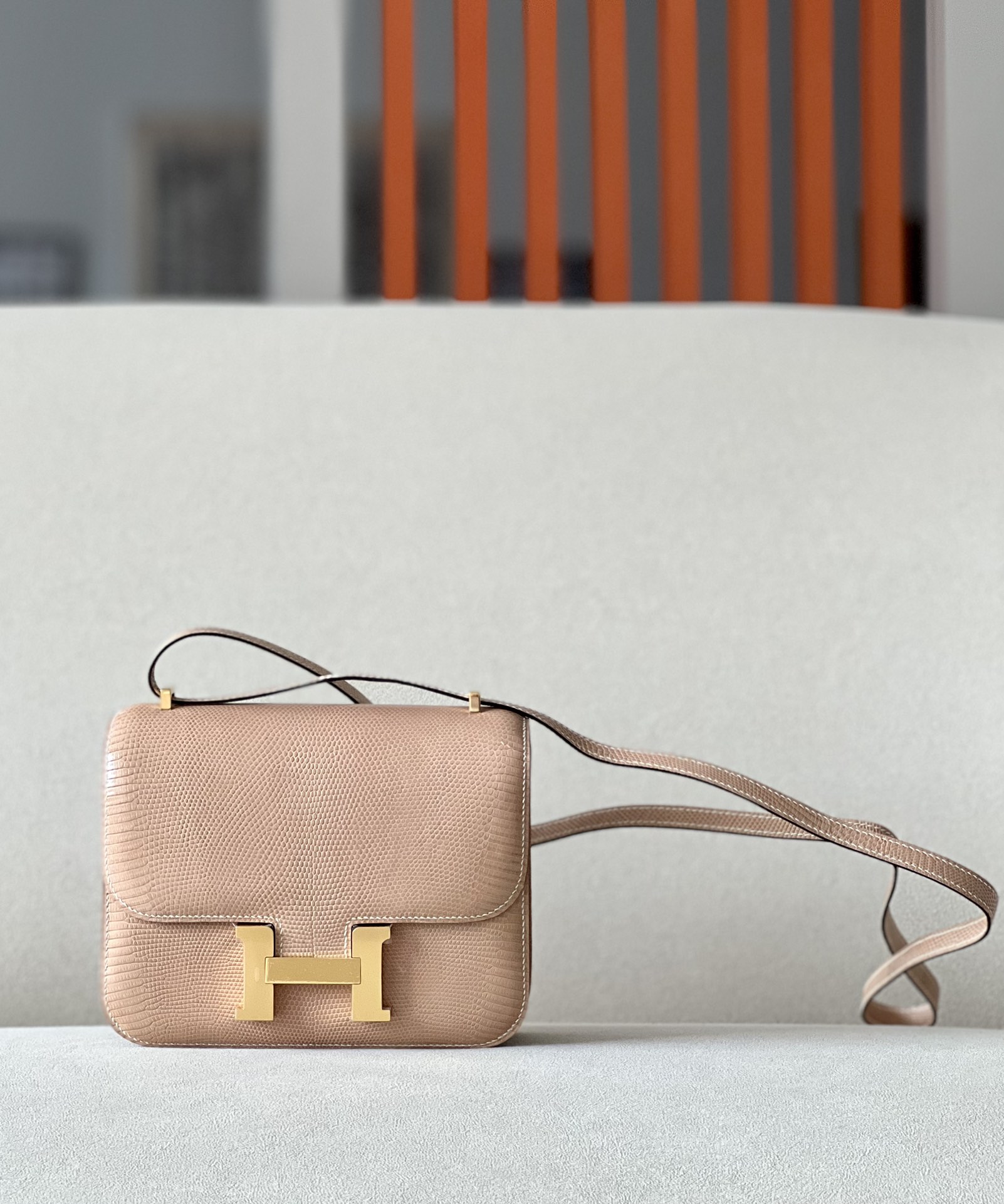 HSC-E36E789DDB26 Constance 19 Lizard Beige Sable(1I) And Ficelle (17) Palladium Hardware - Image 1