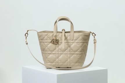 Medium Dior Toujours Vertical Tote Bag