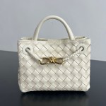 Bottega Veneta Mini Andiamo