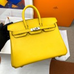 Hermes Birkin 25 - Image 2
