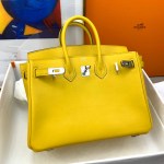 Hermes Birkin 25 - Image 7