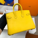 Hermes Birkin 25 - Image 8