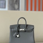 Hermes Birkin 25