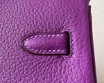 Hermes Birkin 25 - Image 5