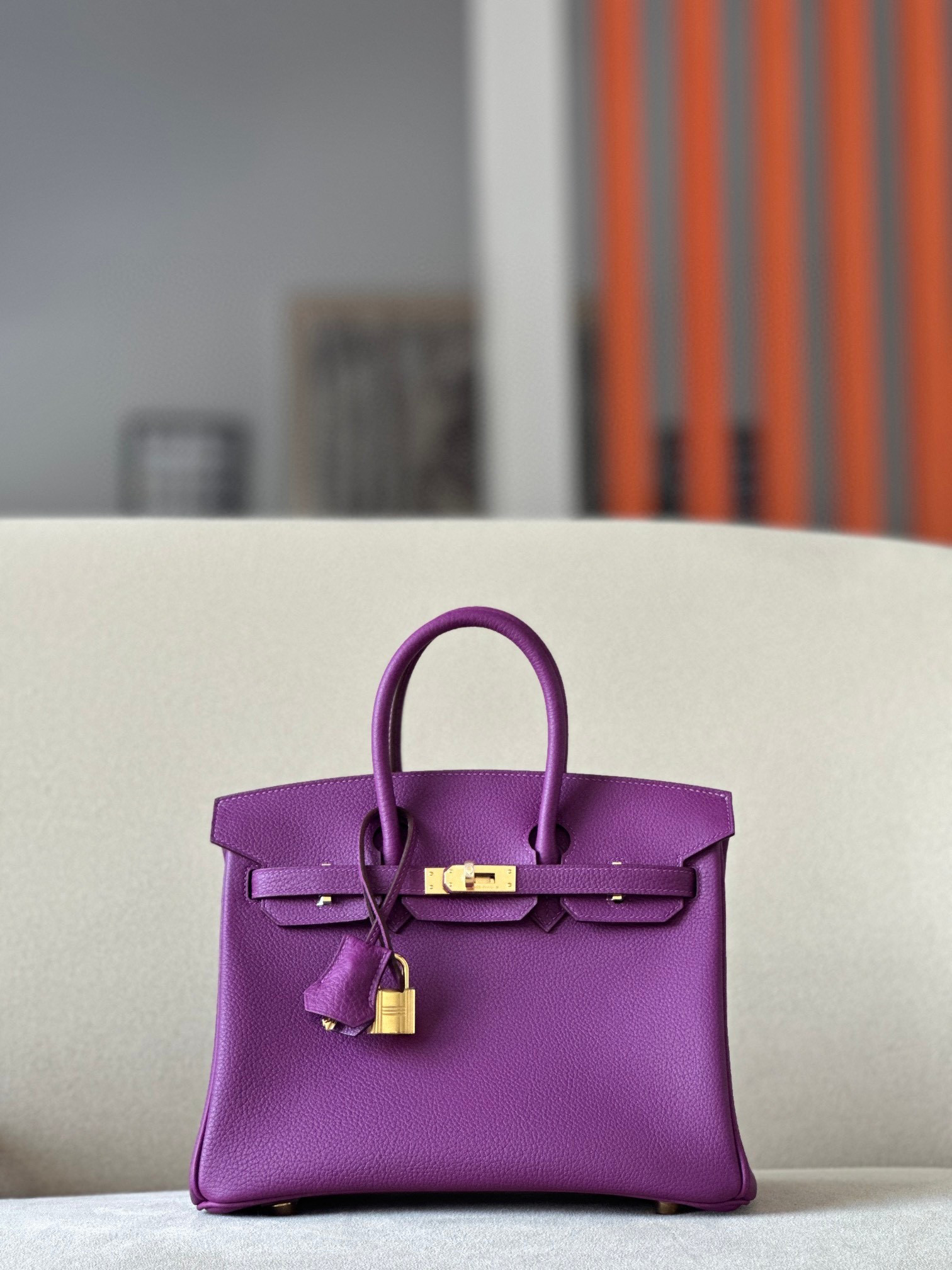 HSC-1C1E81AD0EB0 Hermes Birkin 25 - Image 1