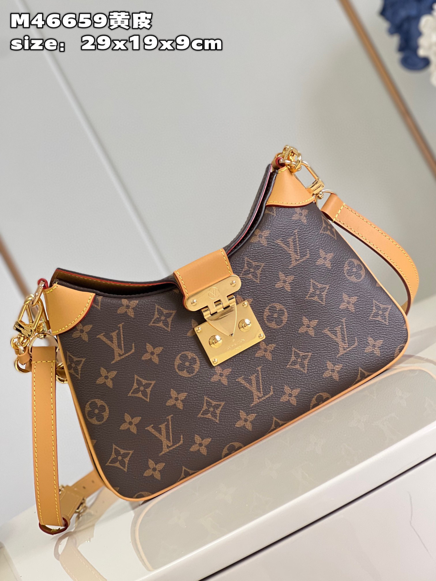 HSC-1F12CBF03398 Louis Vuitton Twinny - Image 1
