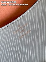 Louis Vuitton Buci - Image 8