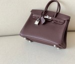 Hermes Birkin 25 - Image 6