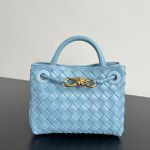 Bottega Veneta Mini Andiamo