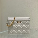 DIOR CARO ZIPPED POUCH WITH CHAIN
