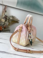 Louis Vuitton Speedy 25 - Image 9