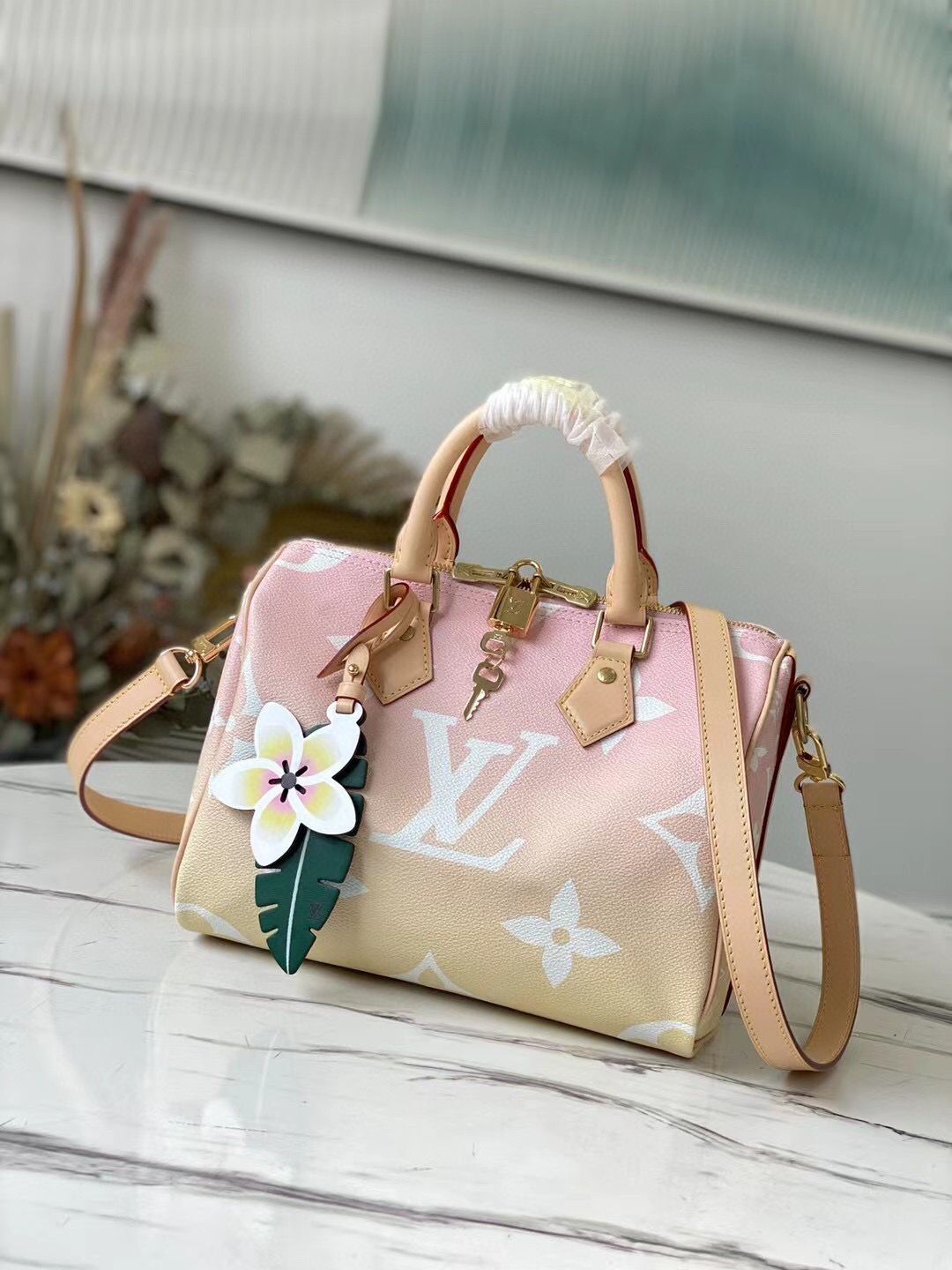 HSC-27E81F9C8D46 Louis Vuitton Speedy 25 - Image 1