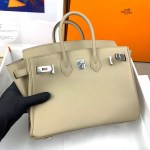 Hermes Birkin 25 - Image 8