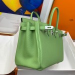 Hermes Birkin 25 - Image 2