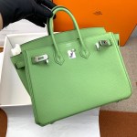 Hermes Birkin 25 - Image 6