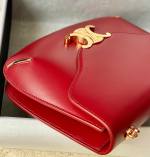 Celine Besace Triomphe Bag - Image 3