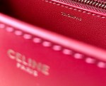 Celine Besace Triomphe Bag - Image 8