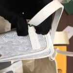 Goyard Saint Louis PM Tote Bag - Image 2