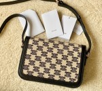 CELINE CLASSIQUE TRIOMPHE BAG - Image 2
