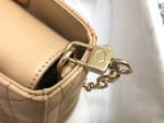 Dior Lady D-Joy Bag Medium - Image 9
