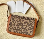 CELINE CLASSIQUE TRIOMPHE BAG - Image 2