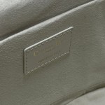 DIOR MEDIUM CD SIGNATURE VANITY CASE - Image 9