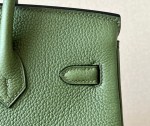Hermes Birkin 25 - Image 4