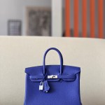 Hermes Birkin 25
