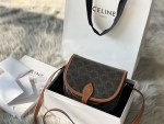 Celine Saddle