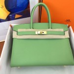 Hermes Birkin 25