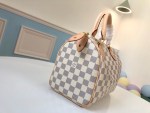 Louis Vuitton Speedy 25 - Image 8